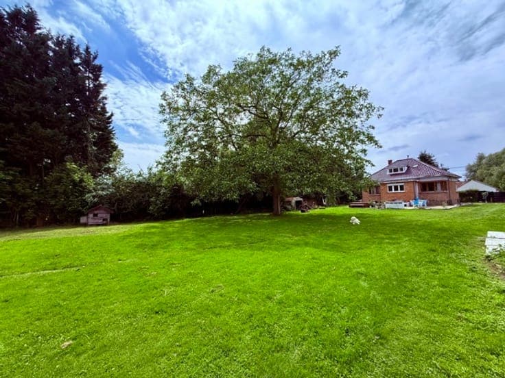House with a beautiful wooded plot