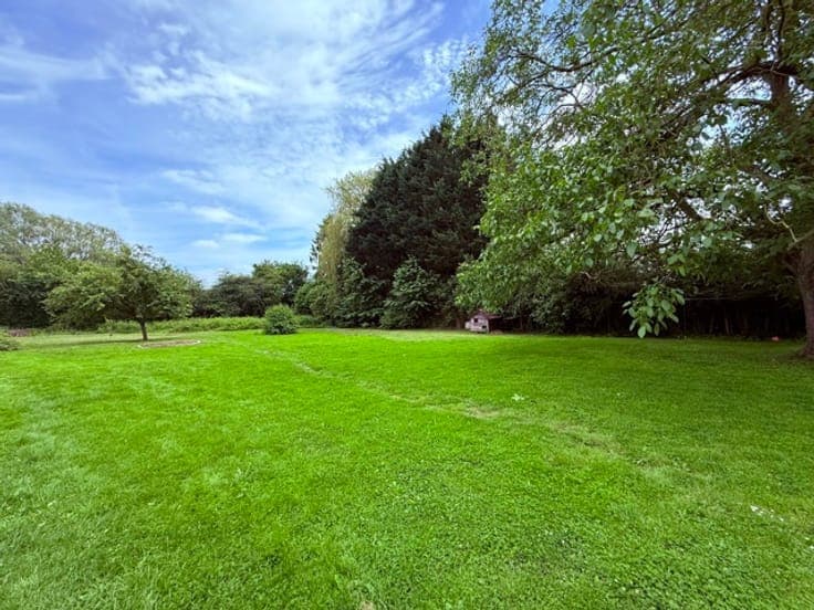 House with a beautiful wooded plot