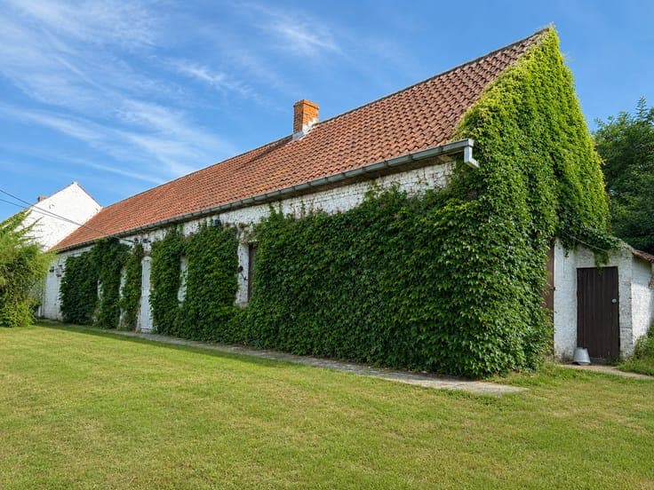 Farmhouse renovation project