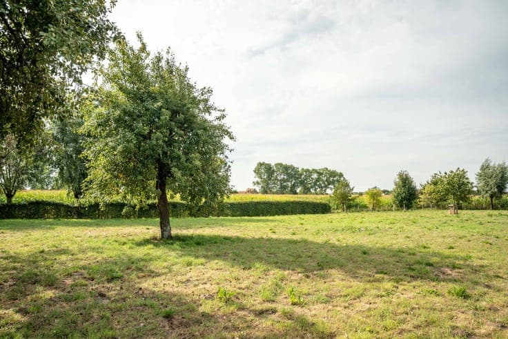 Idyllically located new-build house in Moerkerke (Damme)