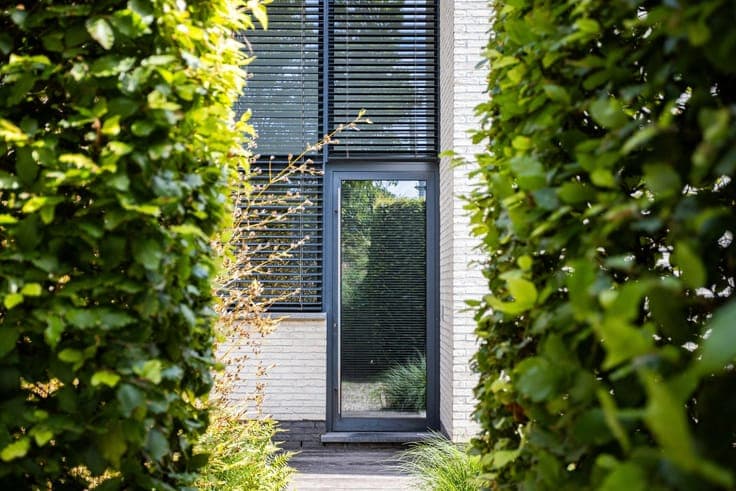 Energy-efficient, move-in-ready home with 4 to 5 bedrooms