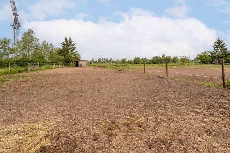 Peaceful living in charming home with 41+ ares of land