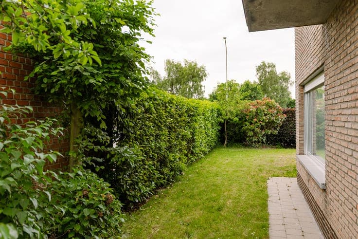 House in Roeselare