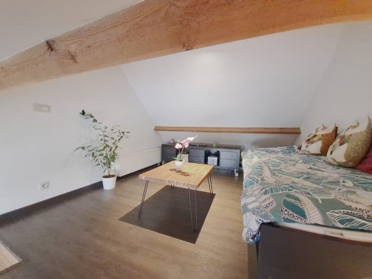 Charming renovated house with 2 bedrooms and office
