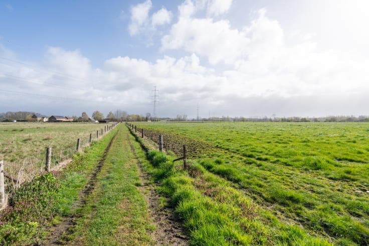 For sale in Kapelle-op-den-Bos: a big house with potenial.