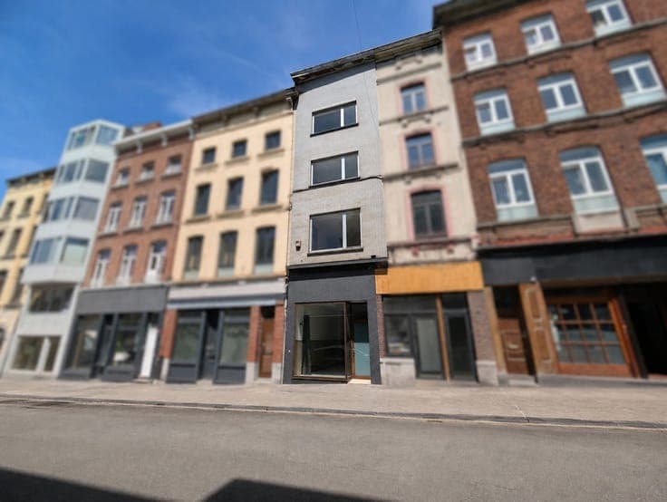House in Charleroi