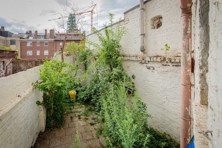 renovation home with courtyard in central Halle