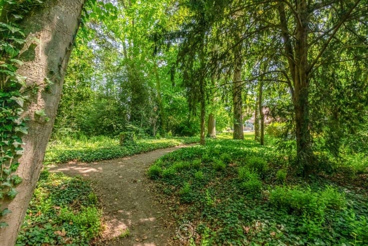 Welgelegen villa met praktijk en wonderlijke tuin