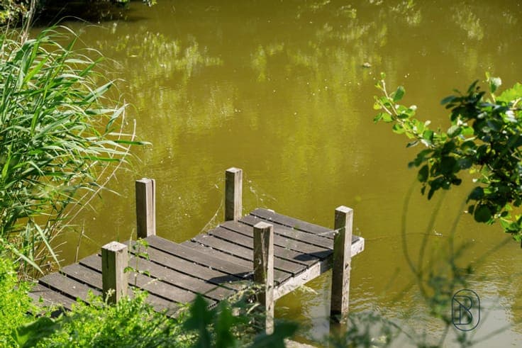 Exclusive villa along a scenic Scheldt branch