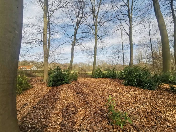 Newly built villa for sale with 3 bedrooms in Sint-Michiels