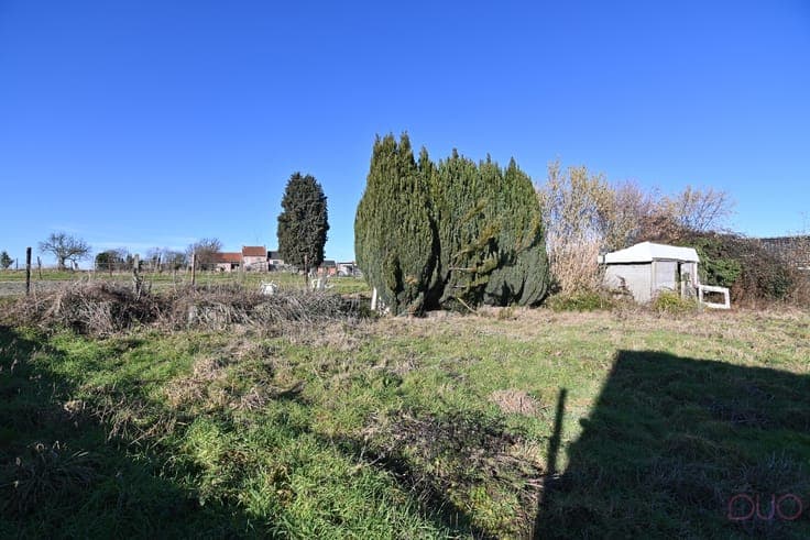 Totaal te renoveren woning op ruim perceel grond met prac...