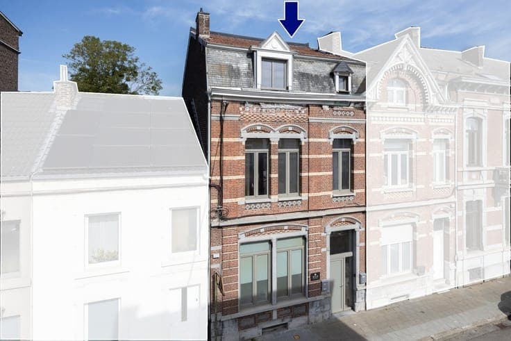 Duplex/triplex