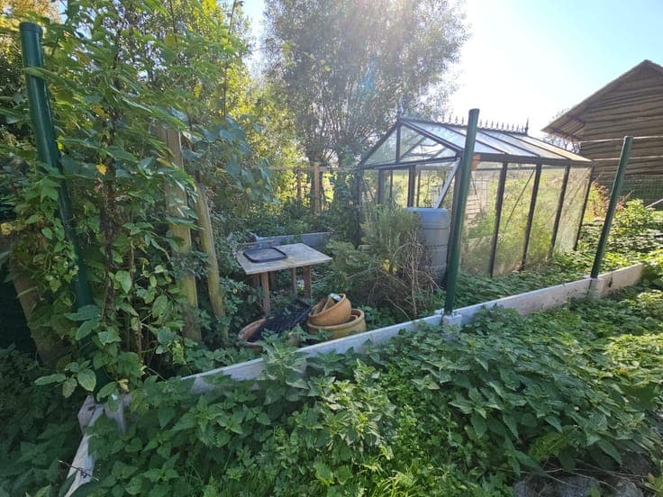 Charmante woning met prachtig uitzicht nabij de Bosberg