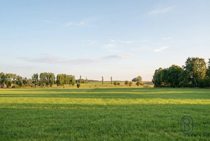 Farmhouse (Fermette)