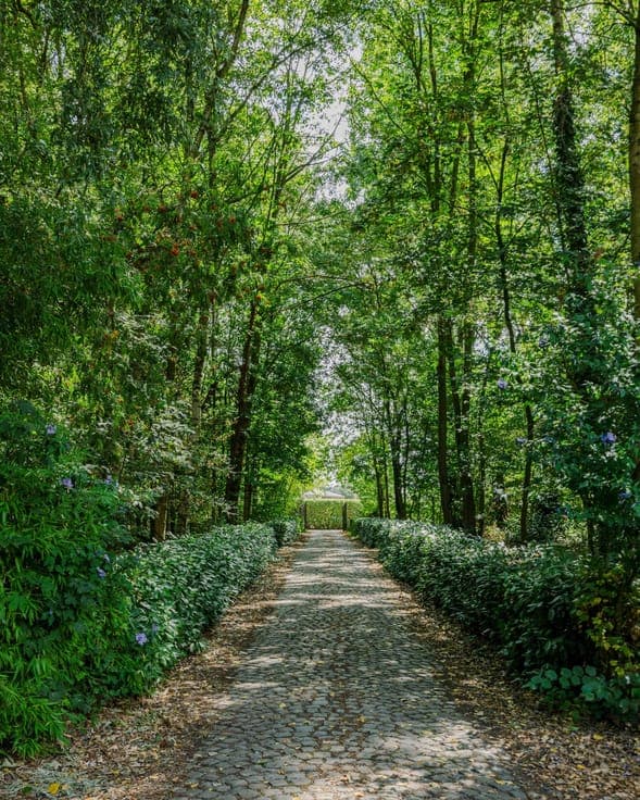 Exclusief parkdomein 'Lysdonck" op 5 hectare