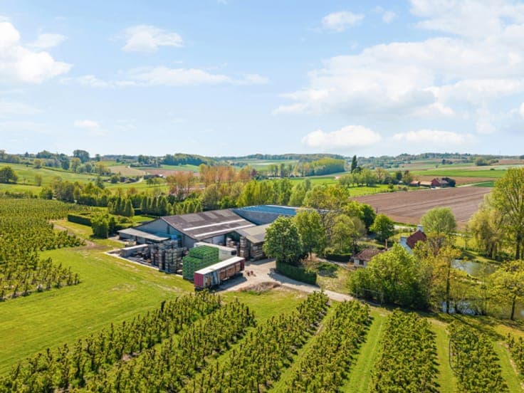 House in Kluisbergen Kwaremont