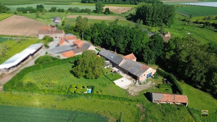 Hoeve