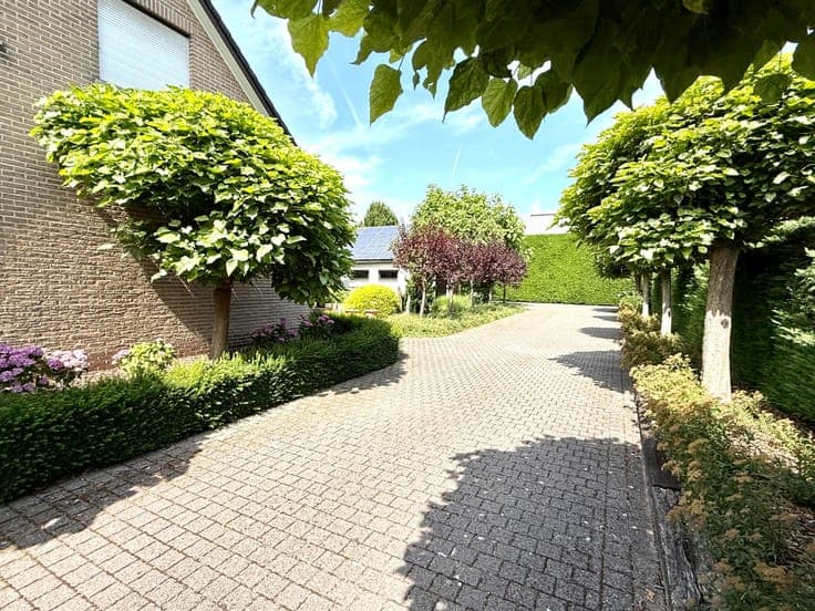 House in Asper