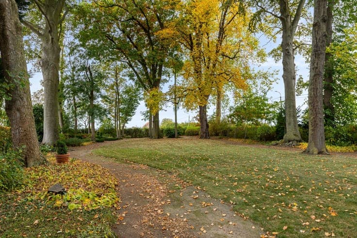 Square farm with plenty of possibilities