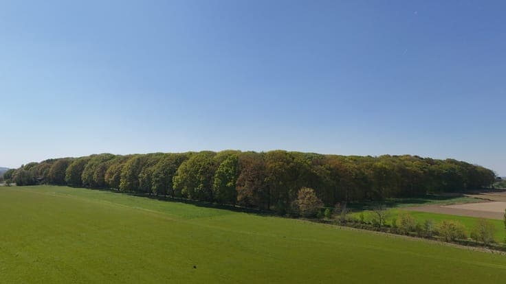 A hectare of green space, ready for your future