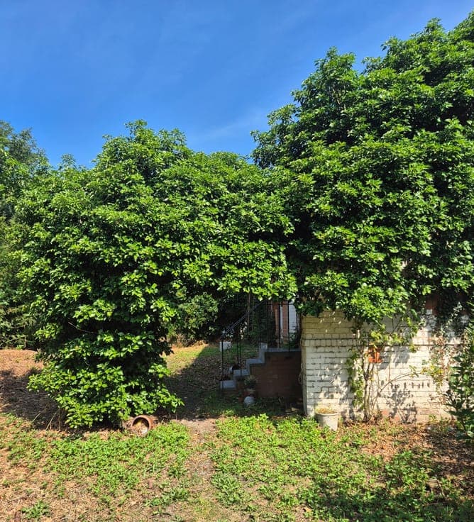 House in Nalinnes