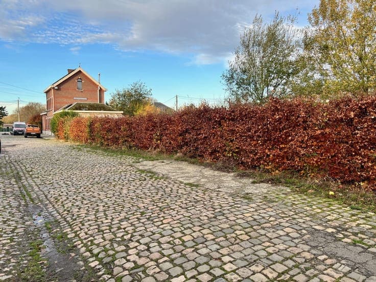 HOUSE TO RENOVATE IN FORMER FARM IN RURAL ENVIRONMENT