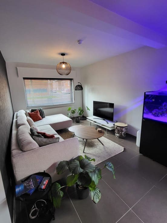 House in Zele