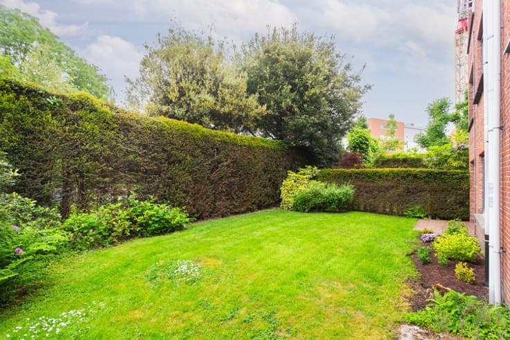 House in Wilrijk