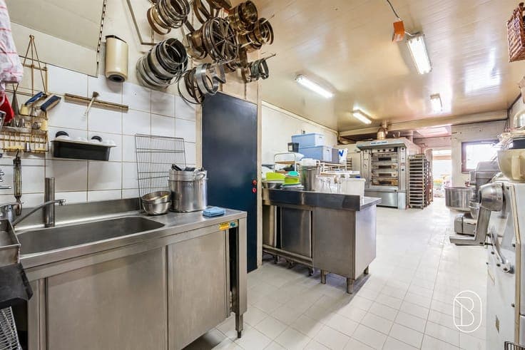 Commercial property with a spacious residence and garden in