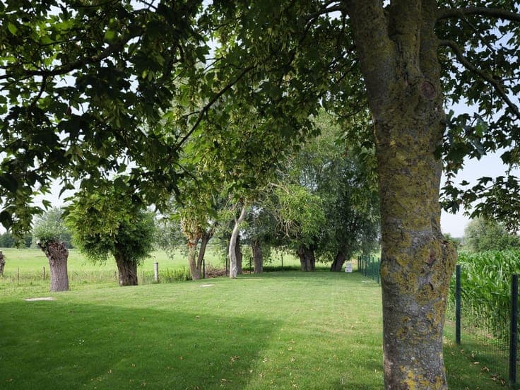 Hoeve