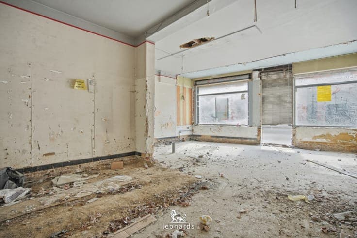 Renovation project with lots of potential