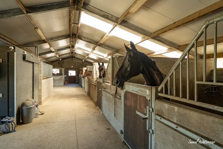 Unique property with horse accommodation on 33,647 m² in Me