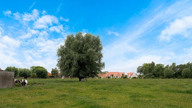 Landelijke woning op 515 m² met discrete tuin en verzicht...
