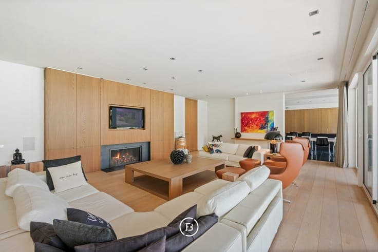 Modern villa