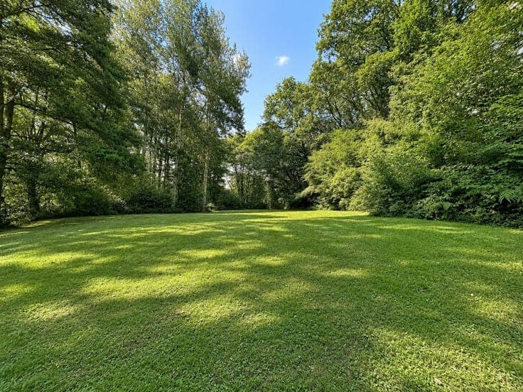 Property with character