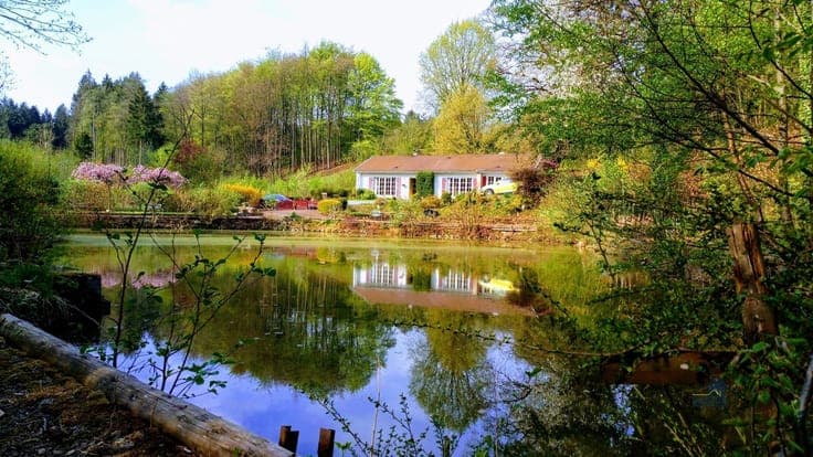 Bungalow + jardin + étang