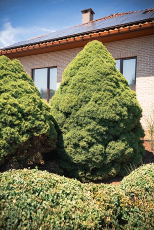 Ruime, uitstekend onderhouden gezinswoning met mooie tuin