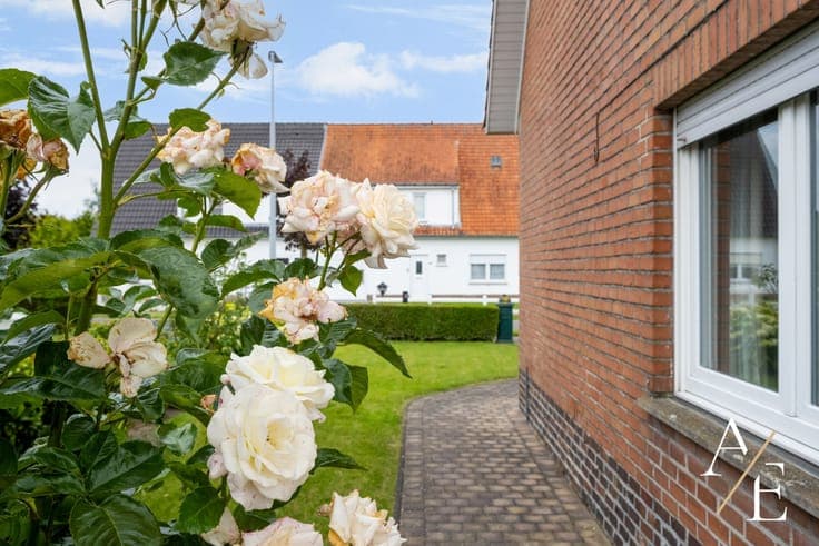 House in Schellebelle