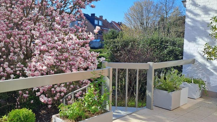 Spacious, renovated house with garden and terrace