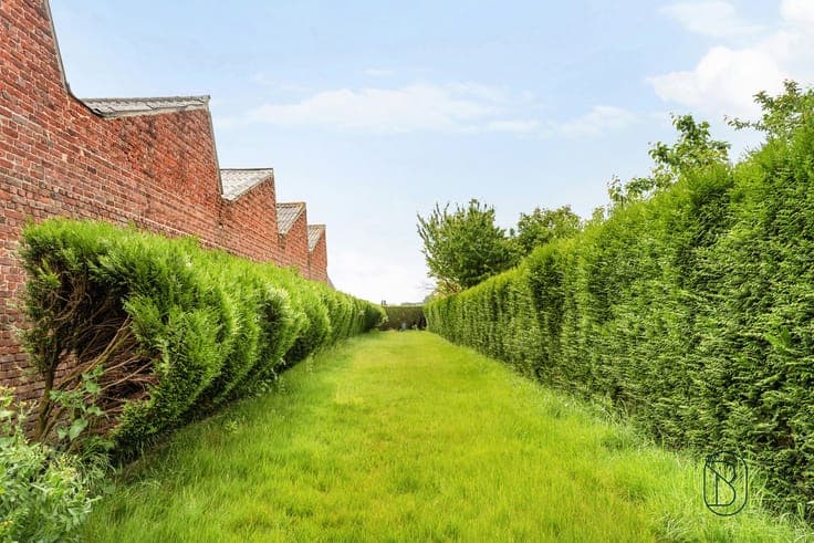 Te renoveren gezinswoning met 3 slaapkamers en grote tuin!