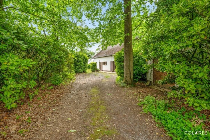 Charming detached house in the middle of greenery - unique