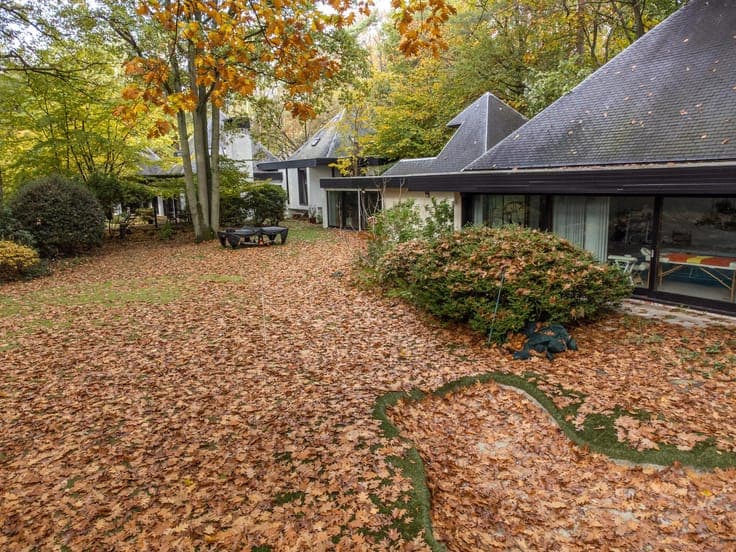 House in Brasschaat
