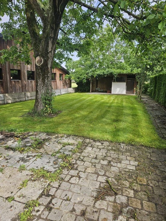 House in Hoogstraten
