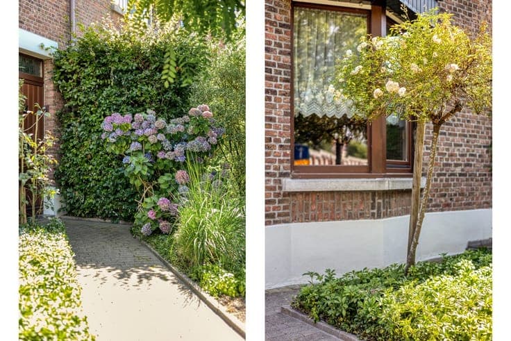 Spacious semi-detached home with sunny garden