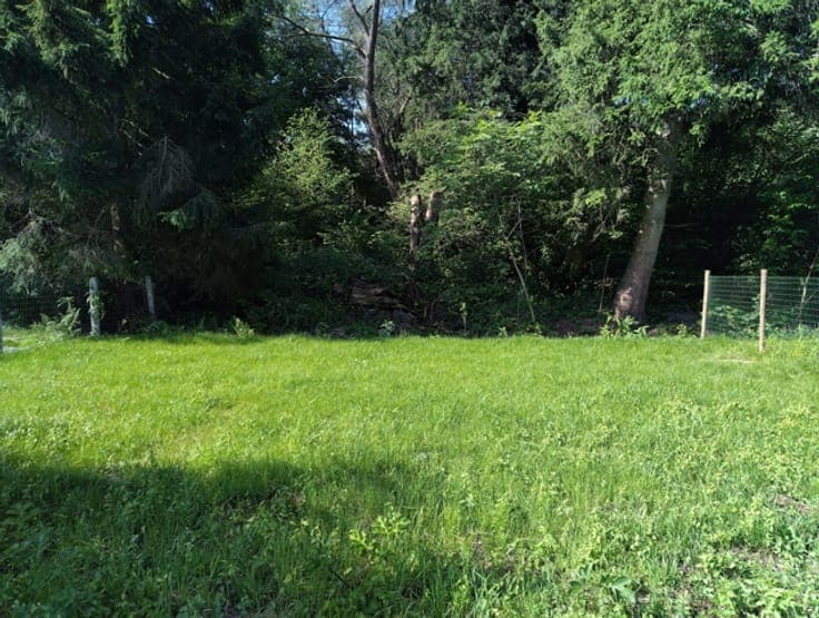 House in need of renovation