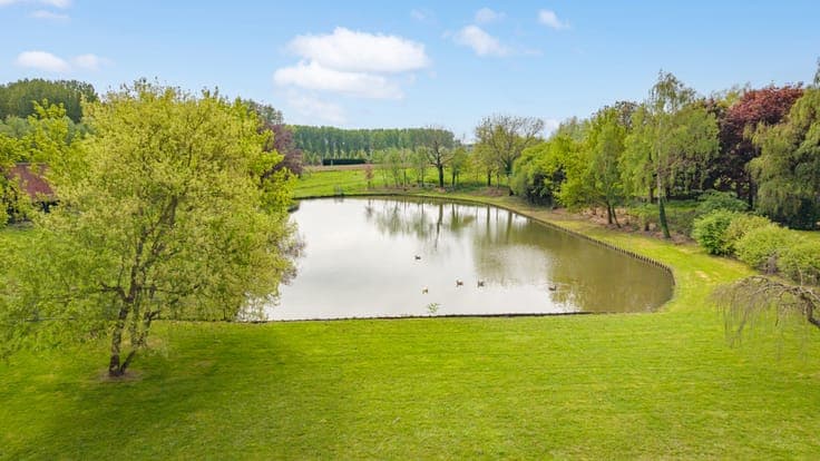 Villa with great potential on large plot in Lennik