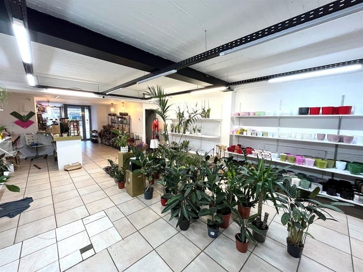 Investment property