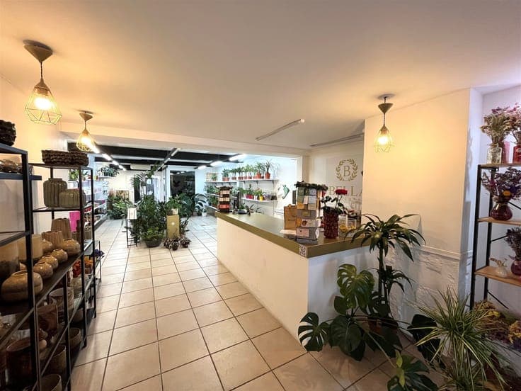 Investment property