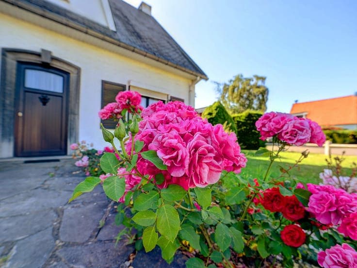 Solid villa with 4 bedrooms in Overijse