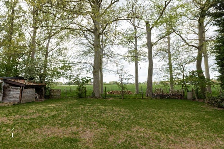 House in Lievegem